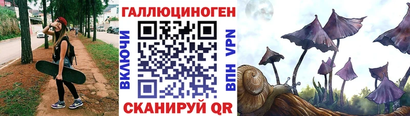 Псилоцибиновые грибы Psilocybe  Купить  Никольское 